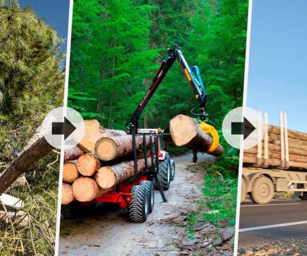 Logging transport – from the deep forest to the sawmill!